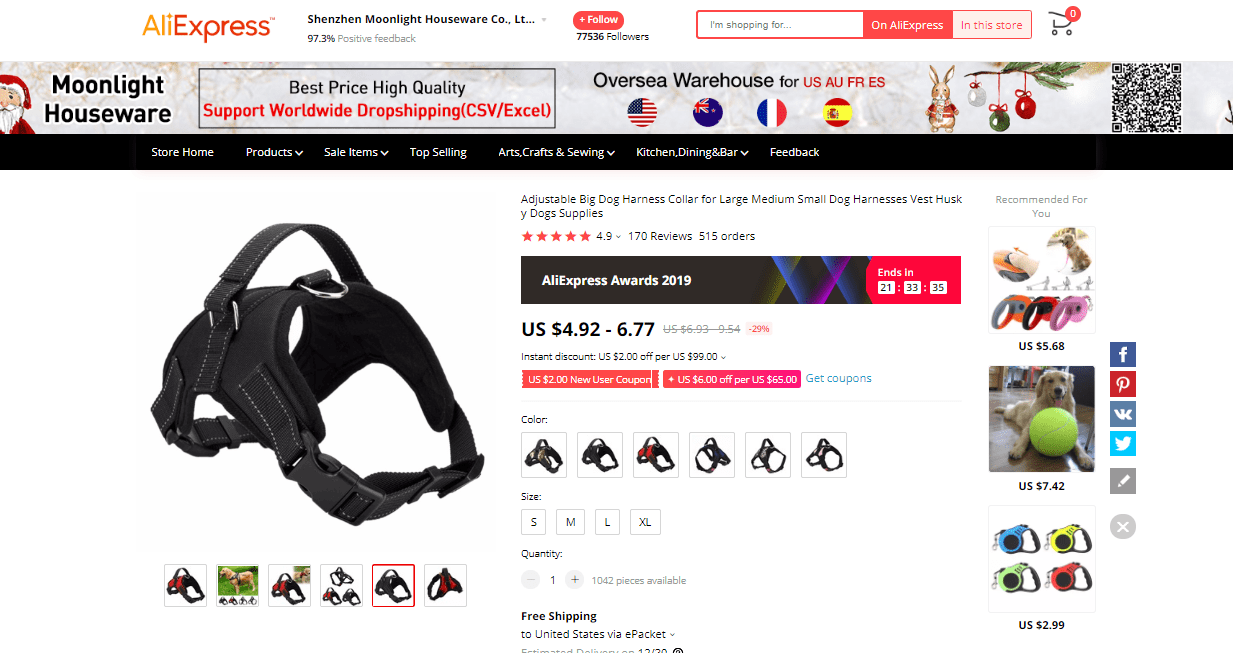 current-product-trends-dog-ali-min.png