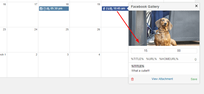 Planner-Editing.png