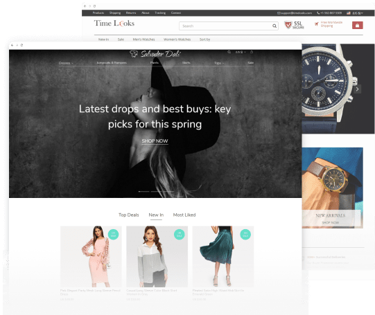 the easiest way to get a turnkey dropshipping business -- AliDropship free dropshipping store