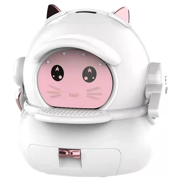 photo cat box