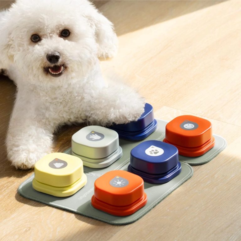 photo of a dog with buttons