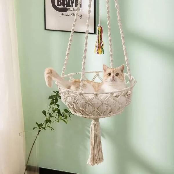 photo of a cat in a hammock
