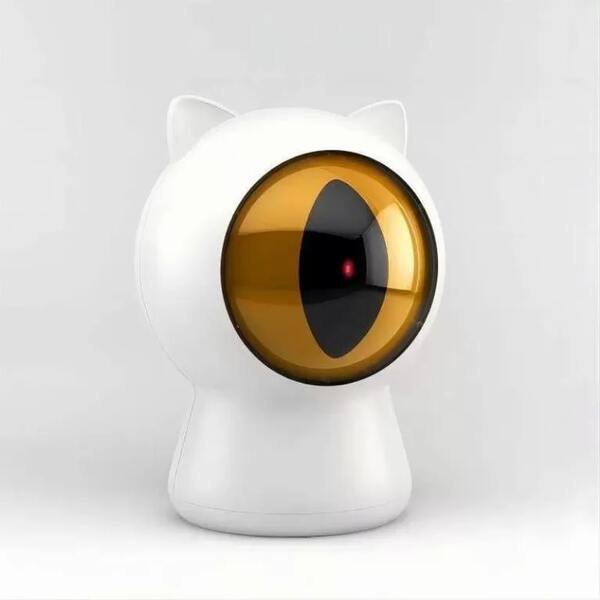 photo cat laser toy