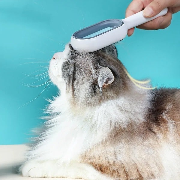 photo cat brush