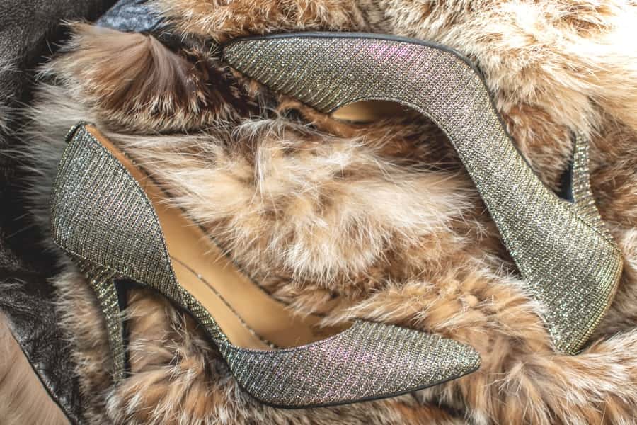 photo luxury shoes
