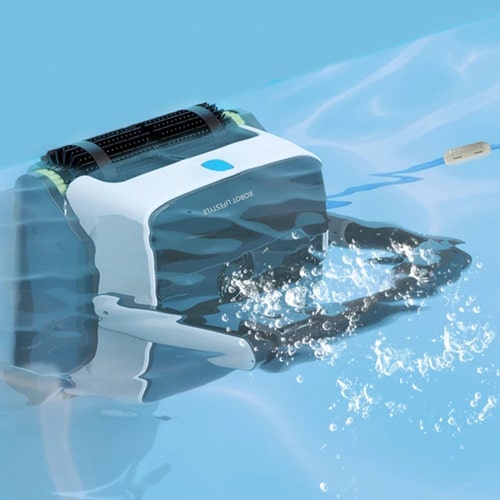 photo pool cleaner