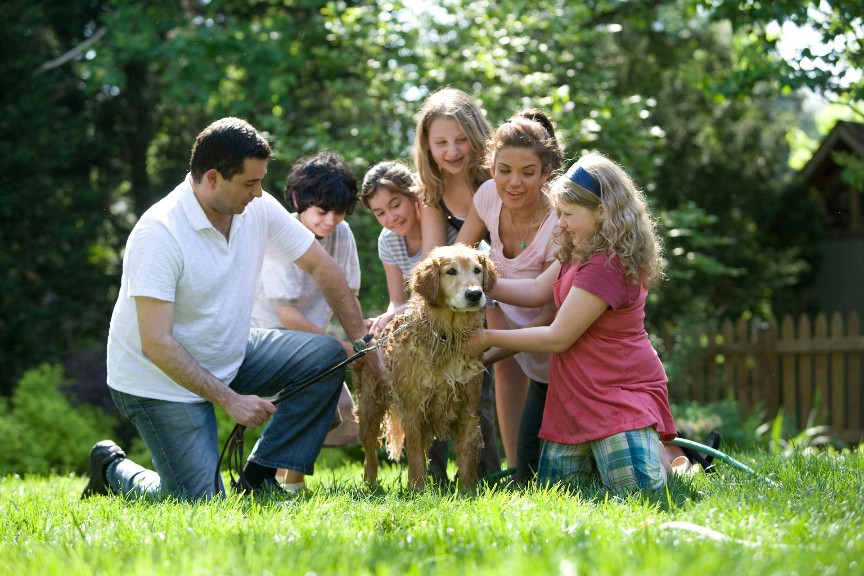 family-store4.jpg